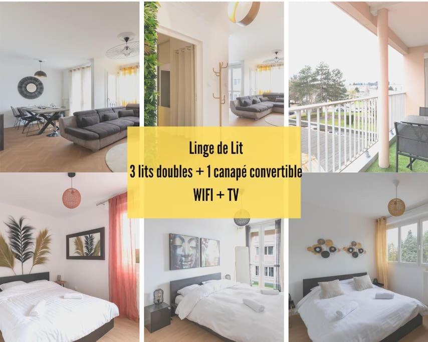 Cabana & Le Grand Appartement Lumineux Mâcon Eksteriør billede