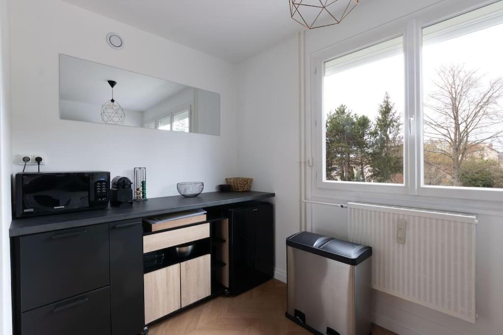 Cabana & Le Grand Appartement Lumineux Mâcon Eksteriør billede